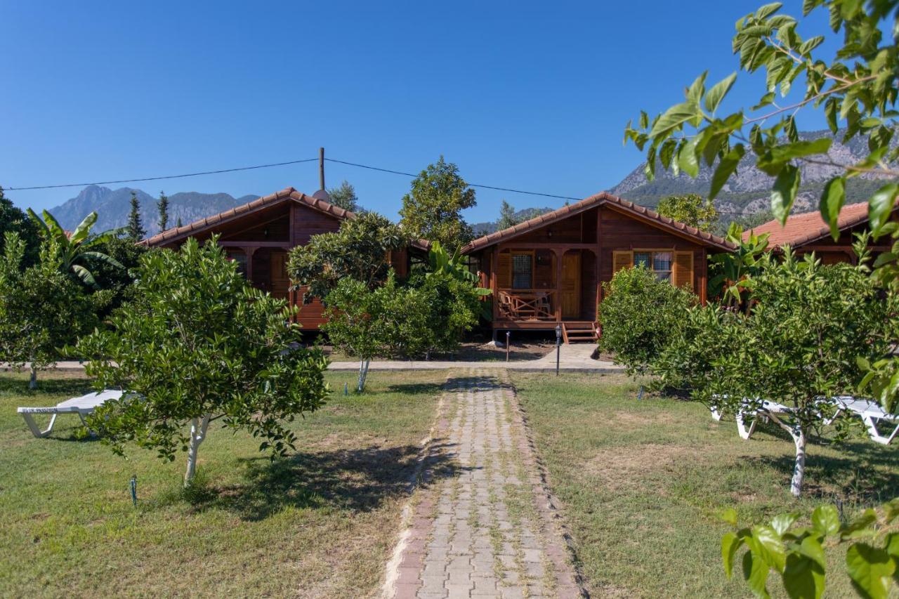 Ugur Pansiyon Bungalows Cirali Exterior photo